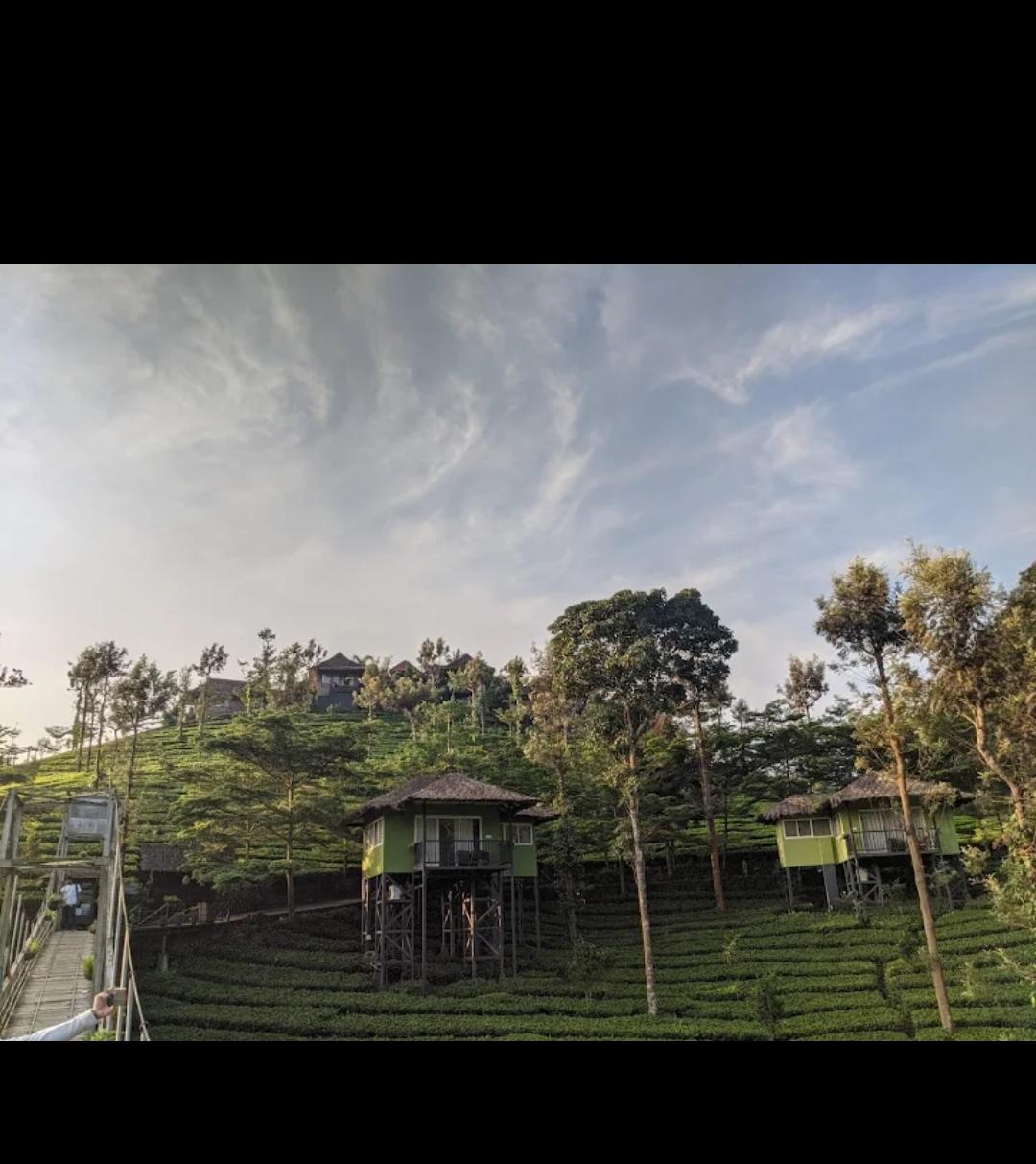 Tea Garden Cottages Ooty